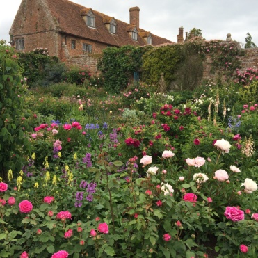 The Rose Garden 2015