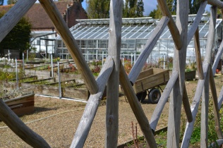 Views of the glasshouse and plant propergation area.